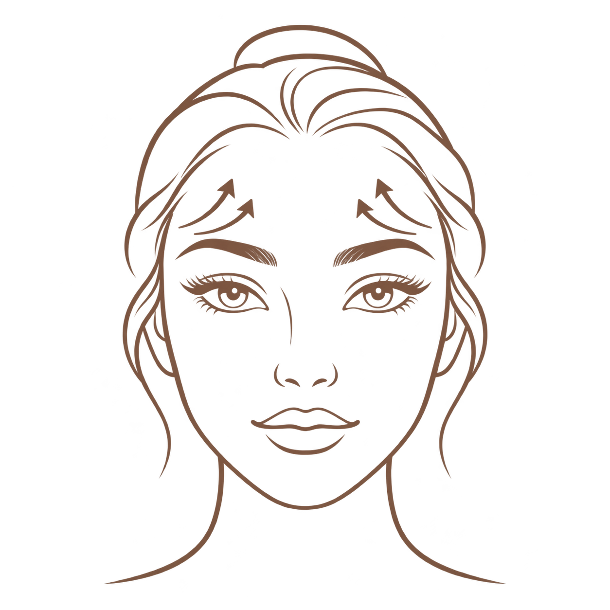 brow lift  dysport / botox treatment area